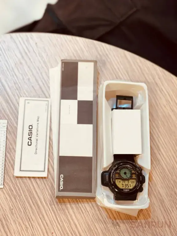 casio cpw 310