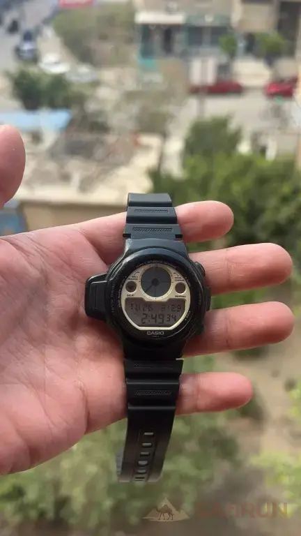 Casio cpw 310