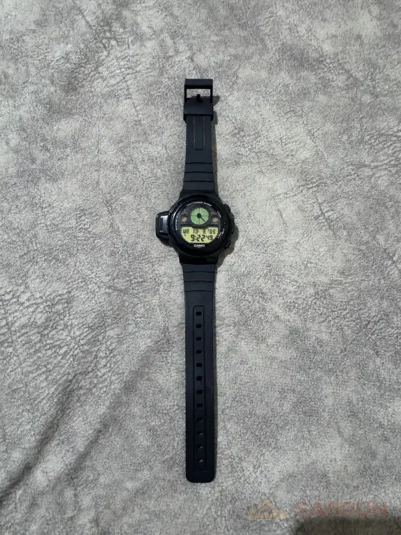 casio cpw 310